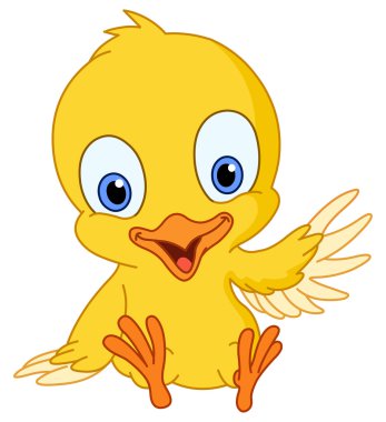 Cute chick clipart