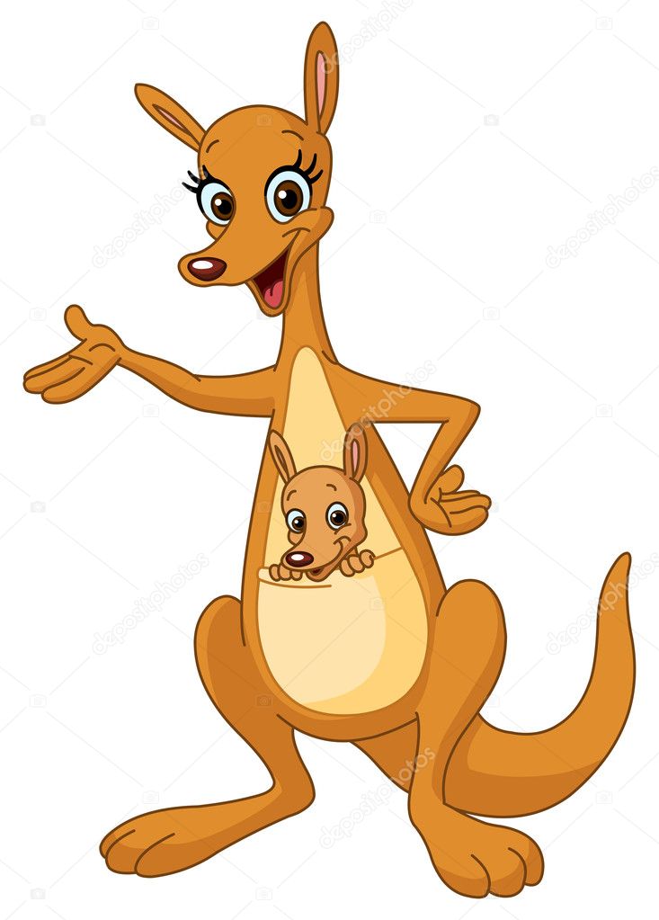 Kangaroo cartoon Vector Art Stock Images | Depositphotos