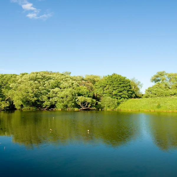 Reflexión simétrica en lago — Foto de Stock
