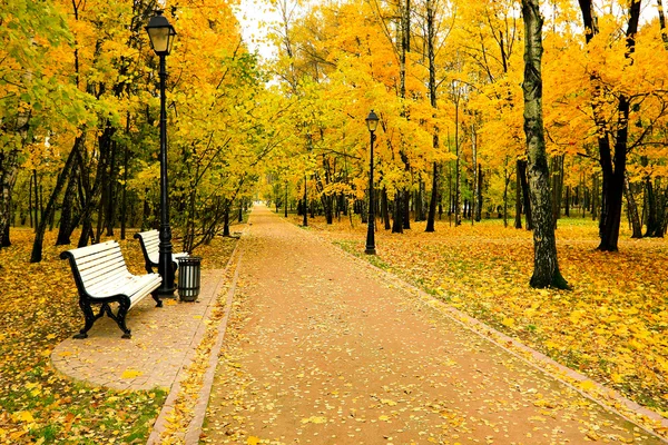 Güzel sonbahar park — Stok fotoğraf