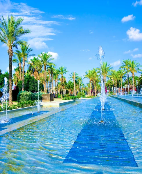 Palms and fountain — Stock Photo, Image