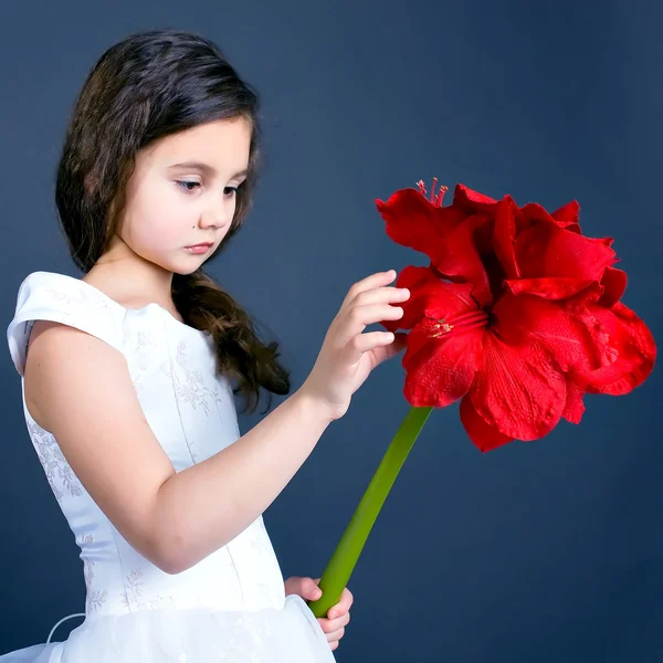 Beautiful dreaming girl with bright red flower — Stock Photo, Image