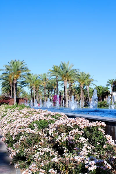 stock image Palms and flowers