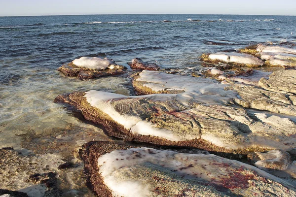 stock image Winter shore of the Caspian Sea.