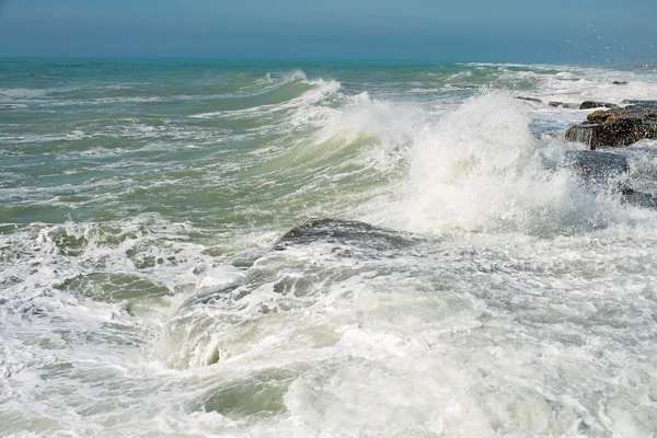 Brzeg Morza Kaspijskiego. — Zdjęcie stockowe