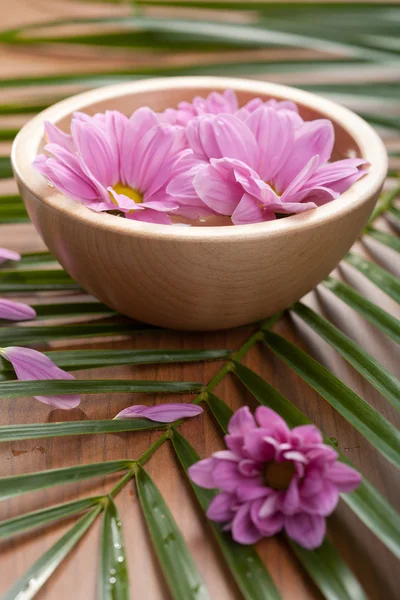 ดอกไม้สีชมพูในชาม — ภาพถ่ายสต็อก