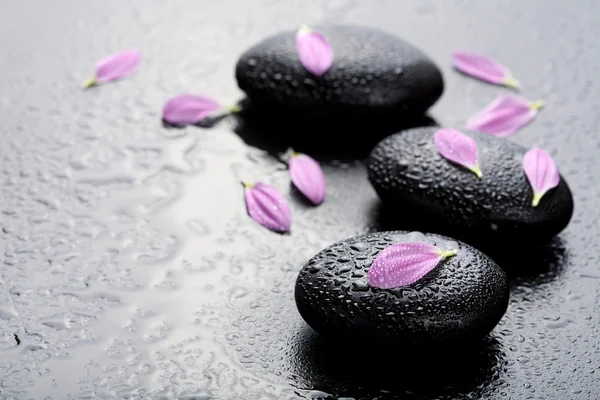 Spa stones and petals — Stock Photo, Image