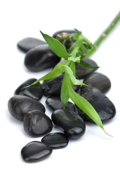 Black spa stones and bamboo isolated — Stock Photo, Image