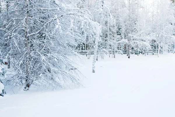 Snöiga vinterlandskap — Stockfoto