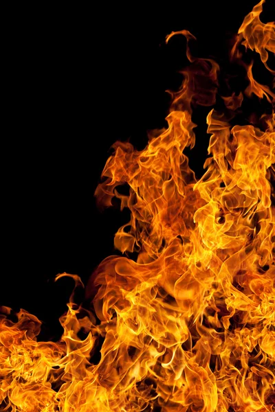 Feuer isoliert über schwarzem Hintergrund — Stockfoto