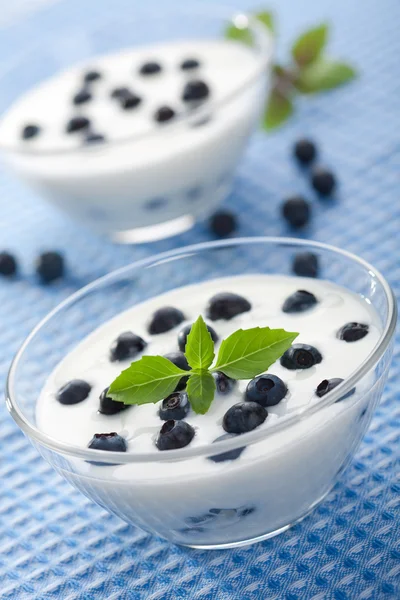 Yoghurt met bosbessen — Stockfoto