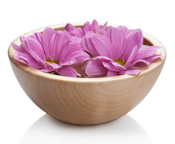 Pink flowers in bowl isolated — Stock Photo, Image