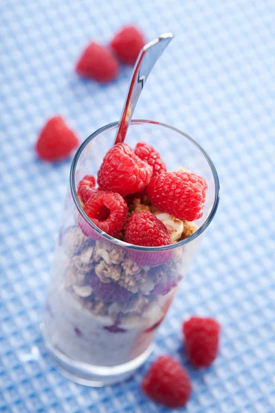 Zboże z jagodami i jogurt — Zdjęcie stockowe