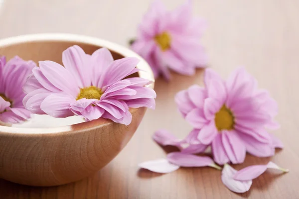 碗里的粉色花 — 图库照片
