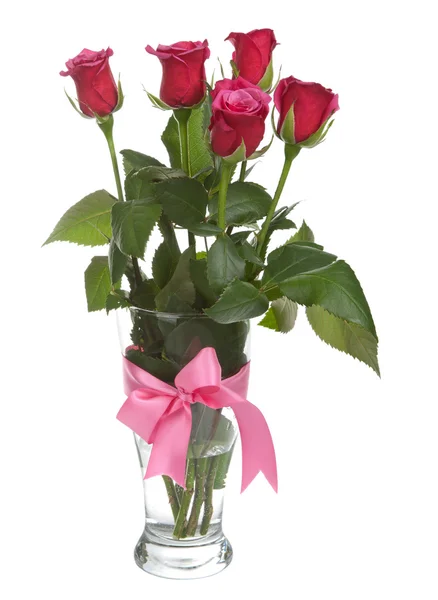 Rose in vaso isolate — Foto Stock