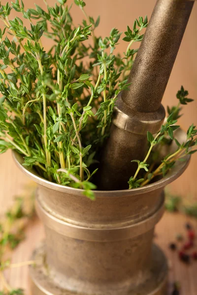 Copper mortar with herbs — Stock Photo, Image