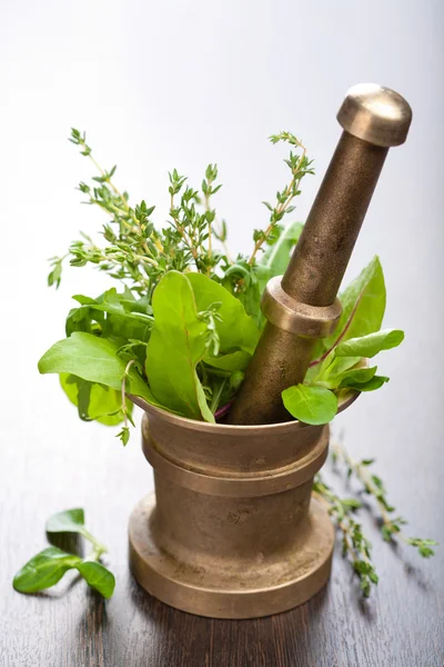 Copper mortar with herbs — Stock Photo, Image