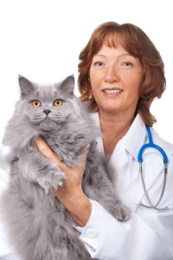 Veteriner ile izole kedi