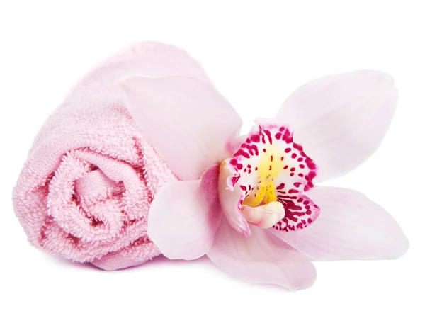 Handdoek en orchid geïsoleerd — Stockfoto