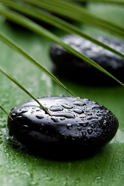 Black spa stones and leaves — Stock Photo, Image