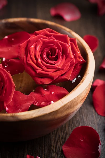 Rote Rosen in hölzerner Schale — Stockfoto
