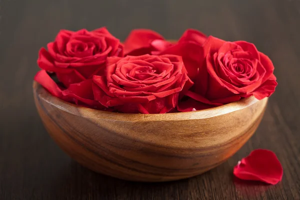 Rosas na tigela — Fotografia de Stock