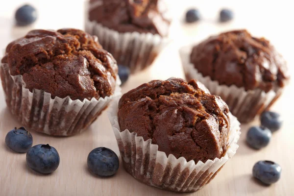 Chocolated muffins met bosbessen — Stockfoto