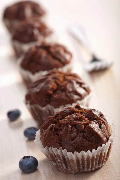 Chocolade Muffins Met Bosbessen — Stockfoto