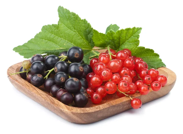 Currant in bowl isolated — Stock Photo, Image