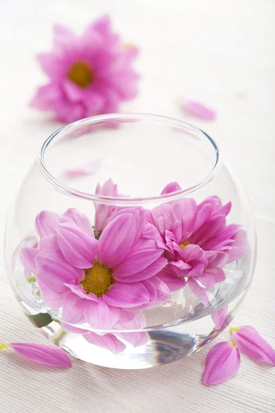 Рожеві квіти у скляній вазі — стокове фото