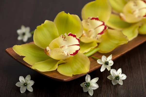 Fleurs d'orchidée dans le bol en bois — Photo