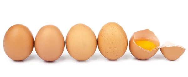 Ovos em uma fila isolados — Fotografia de Stock