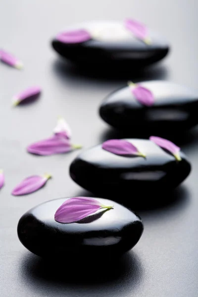 Massage stenen en bloemblaadjes — Stockfoto