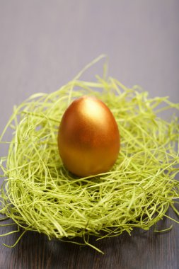 Altın Paskalya yumurta yuvada