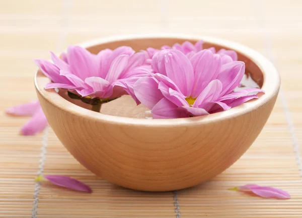 Pink flowers in bowl — Stock Photo, Image