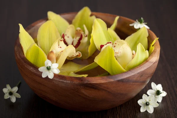 Gul orkidéer i skål — Stockfoto