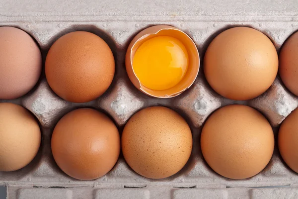ボックスの卵 — ストック写真