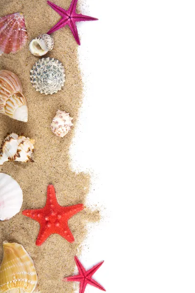 Sand and sea shells isolated — Stock Photo, Image