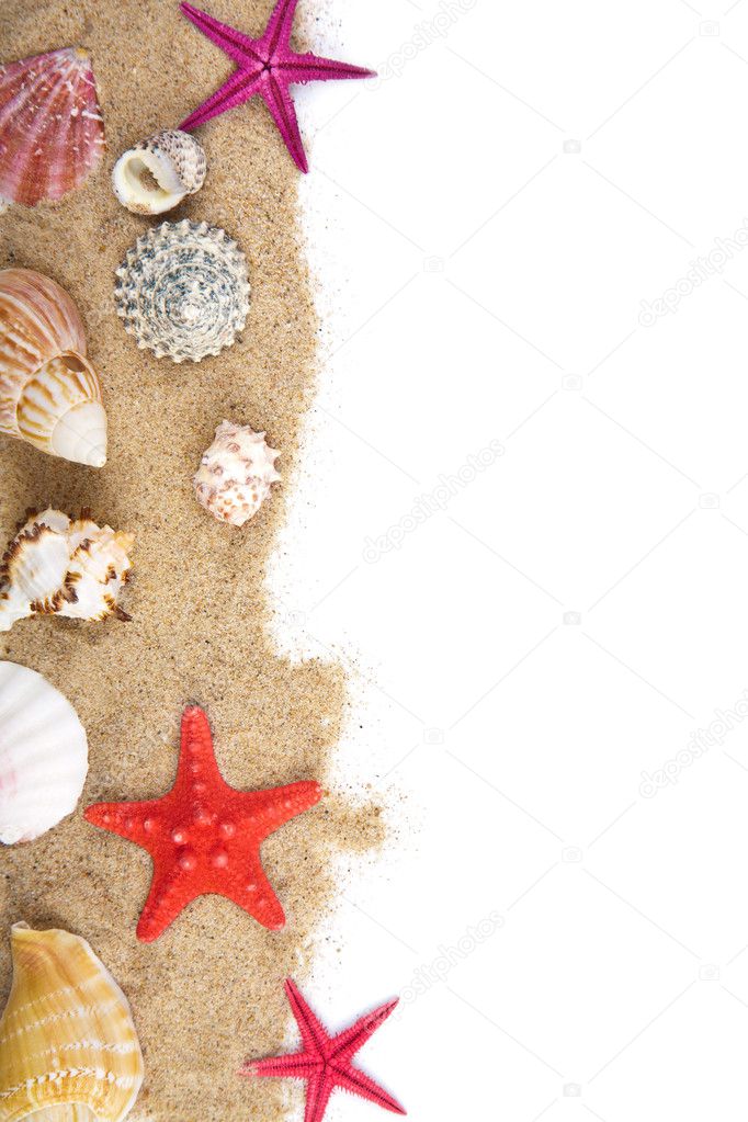 Sand and sea shells isolated