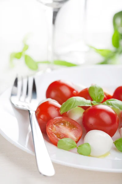 Caprese salatası — Stok fotoğraf