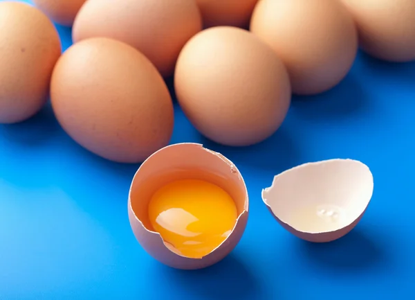 블루에 계란 — 스톡 사진