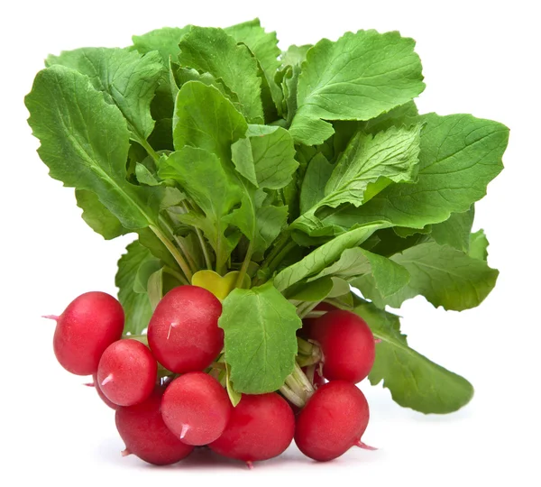 Fresh radish isolated — Stock Photo, Image