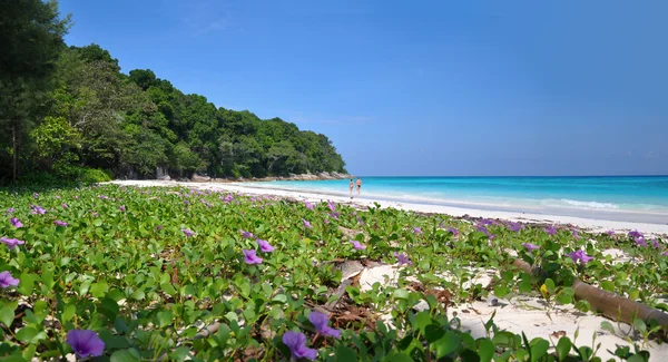Paradiesstrand auf der Insel Ta Chai Stockbild