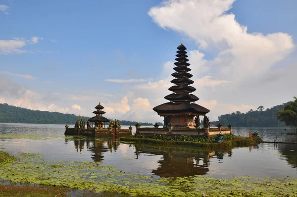 Красиві Балійскій Pura Фоні Тропічних Пейзажів Поблизу Danu Храм Озеро — стокове фото