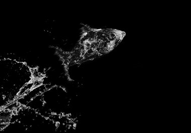 Stylish water splash. Isolated on black background clipart