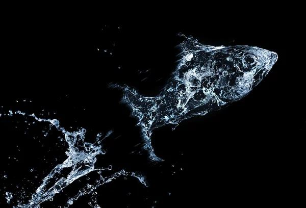Stylish water splash. Isolated on black background — Stock Photo, Image