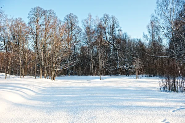Vintern natursköna — Stockfoto