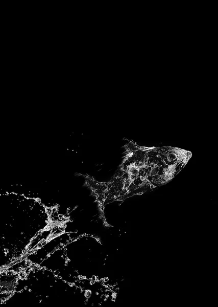Stylish water splash. Isolated on black background — Stock Photo, Image