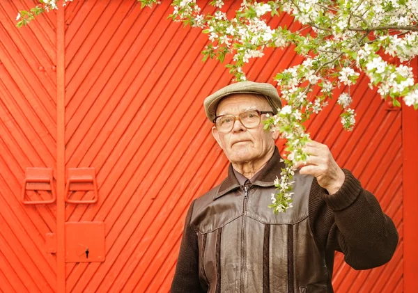 Homem idoso em seu jardim — Fotografia de Stock