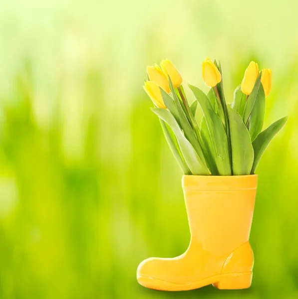 Vaso com tulipas frescas em fundo abstrato — Fotografia de Stock